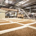 JTI investește masiv în România: o nouă fabrică va fi construită lângă București, în Ștefăneștii de Jos